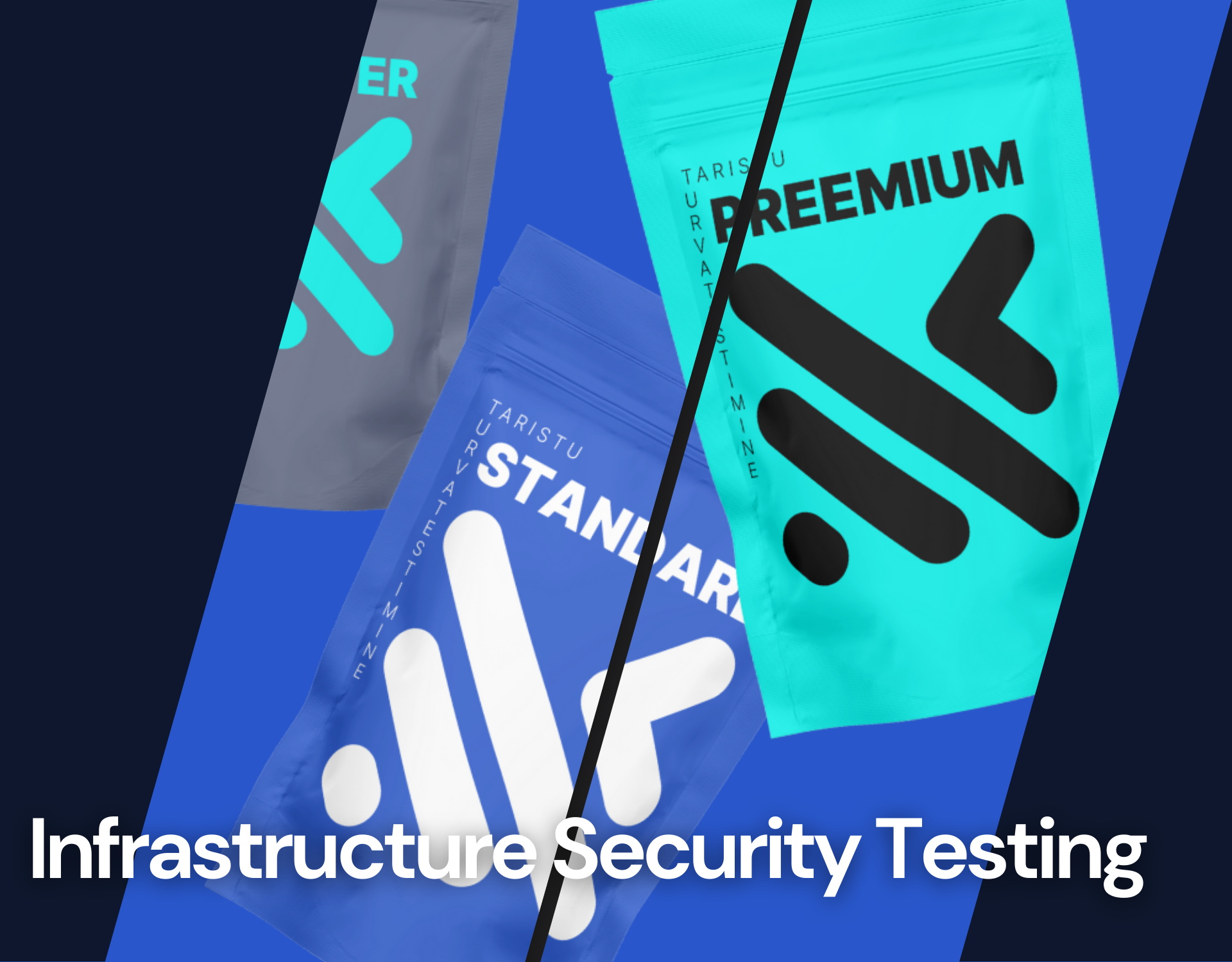 Infrastructure security testing to detect vulnerabilities and strengthen defenses.