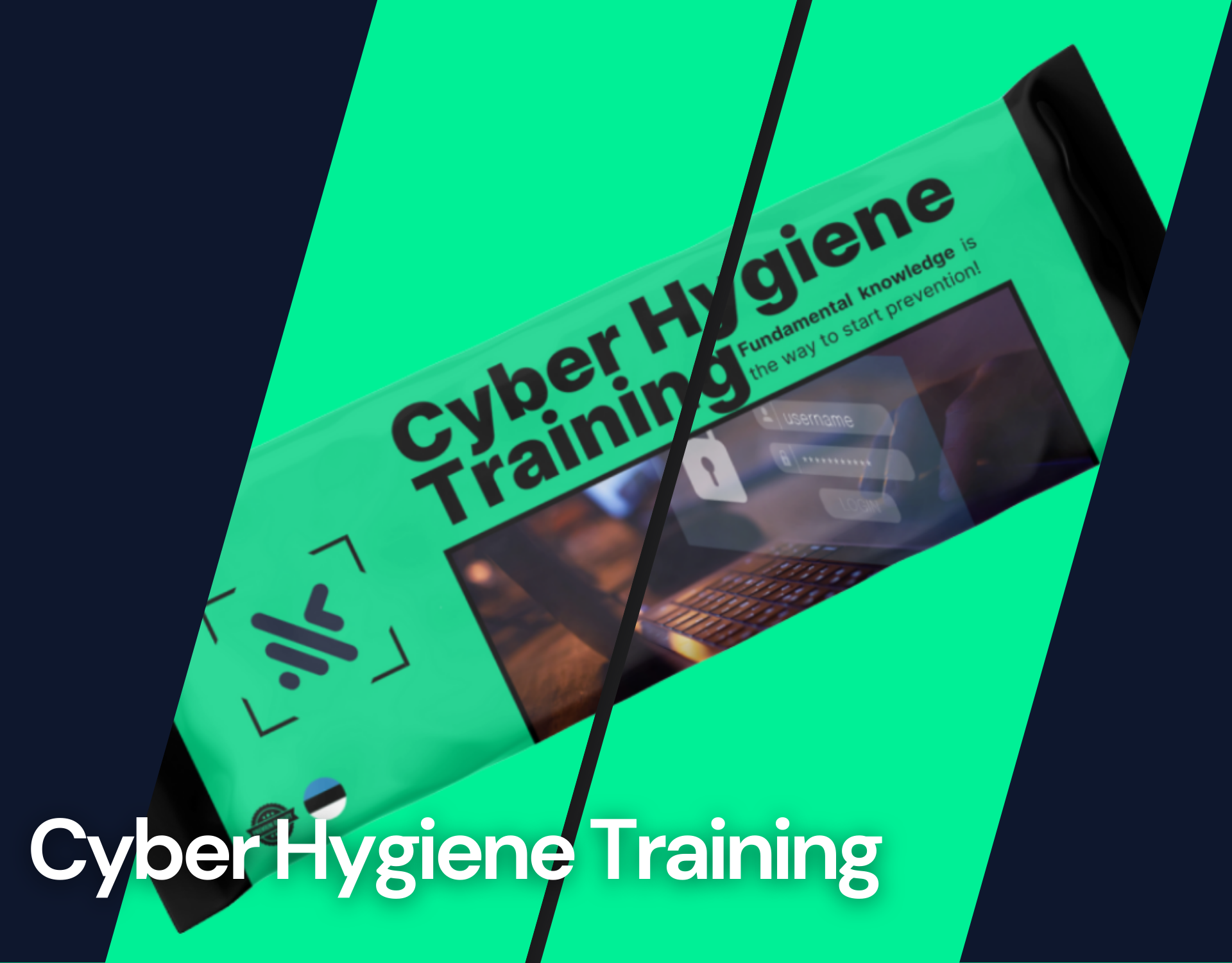 Cybersecurity hygiene training to prevent phishing, scams, and human-driven cyber risks.